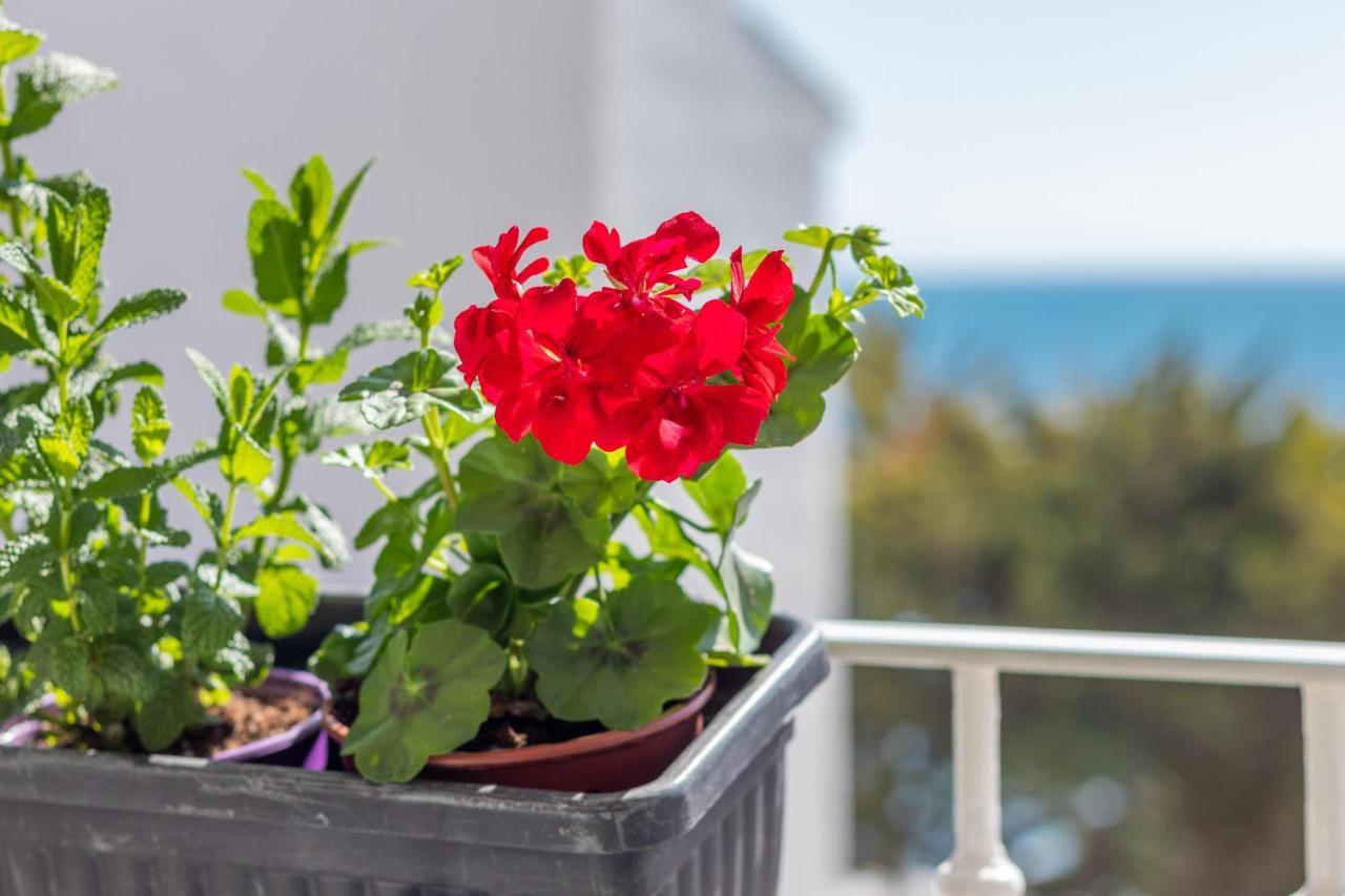 Apartament Luz De Altea Zewnętrze zdjęcie